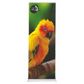 36" Cascade Retractable Banner Stand w/ Vinyl Banner